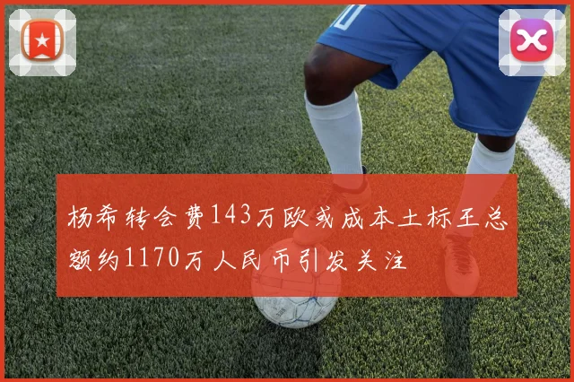 杨希转会费143万欧或成本土标王总额约1170万人民币引发关注