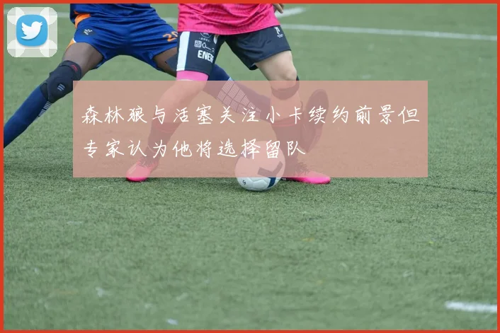 森林狼与活塞关注小卡续约前景但专家认为他将选择留队