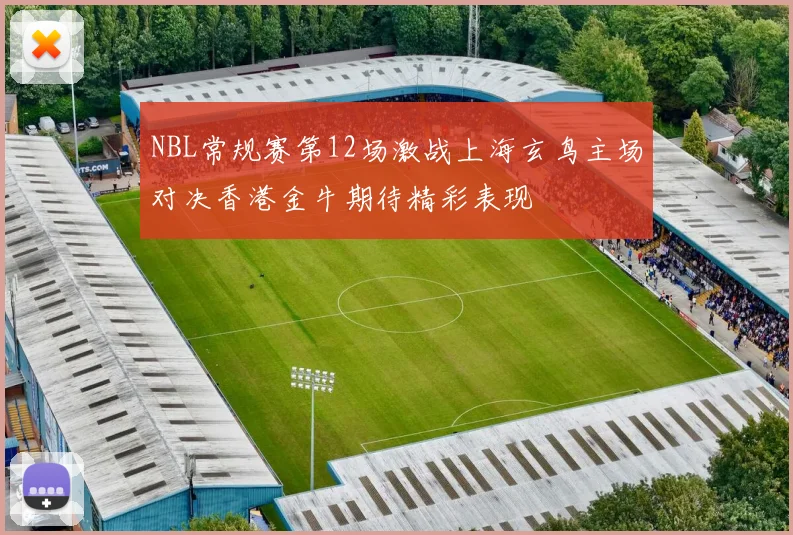 NBL常规赛第12场激战上海玄鸟主场对决香港金牛期待精彩表现